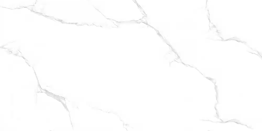 Maimoon Ceramica Керамогранит Maimoon Ceramica Maimoon Silver satuario 120х60 см / Основное большое изображение