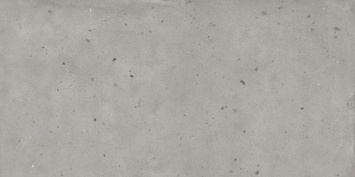 АВА.СИЛЬВЕР 60X120 РЕТ
