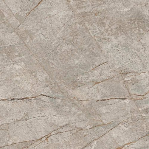 Empire Silver Root Rett 80x80