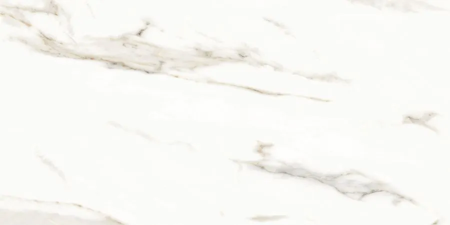 Neodom Керамогранит Splendida Marmol Carrara Polished 60x120 / Основное большое изображение
