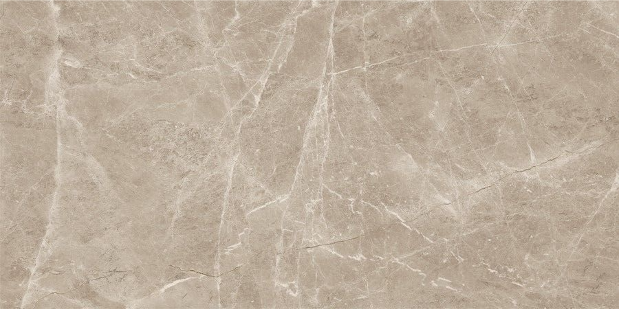 Neodom Supernova Frappuchino Taupe Polished  80×160 / Основное большое изображение