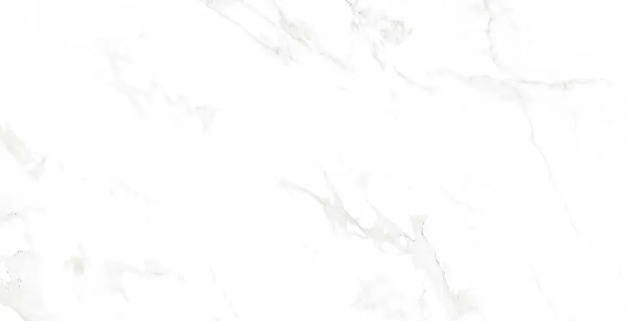 Neodom Керамогранит Hermitage Venus Bianco Polished 60x120 / Основное большое изображение